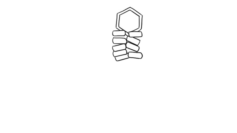 新春红色鞭炮简笔画