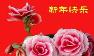 新年祝福老师的祝福语的话 新年祝福老师的祝福