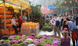 迎春花的繁殖方法有哪些 迎春花的繁殖方法