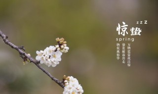 惊蛰节气的特点和风俗是什么 蚂蚁庄园惊蛰节气的特点和风俗是什么