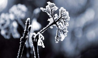 一年中的最后一个节气是什么时候 一年中最后一个季节是什么时候