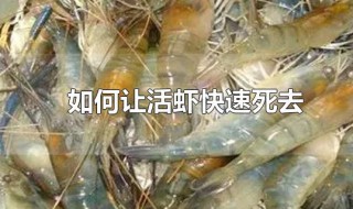 如何让活虾快速死去