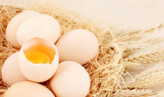 一天吃几个鸡蛋比较合适 减肥期间一天吃几个鸡蛋比较合适