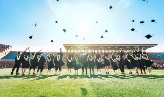 大学生毕业总结内容 大学生毕业总结内容怎么写