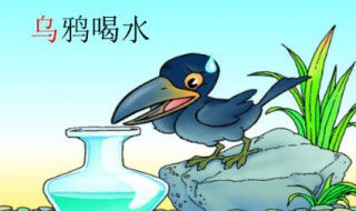 乌鸦喝水教学设计 乌鸦喝水教学设计一等奖