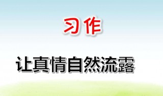 让真情自然流露作文 让真情自然流露作文600字