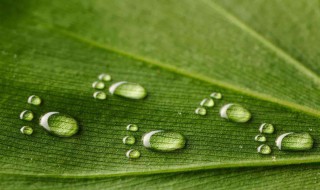 关于雨的谚语和俗语有哪些 关于雨的谚语