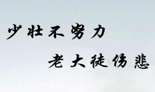 关于学习的格言 关于学习的名言警句