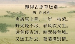 白居易的草赏析 白居易 草