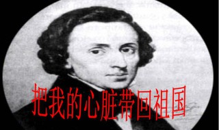 把我的心脏带回祖国教案 把我的心脏带回祖国课文原文