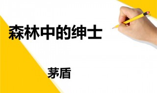 森林中的绅士读后感 森林里的绅士读后感