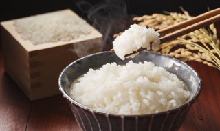 微波炉怎么煮饭 微波炉怎么煮饭米饭