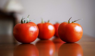 西红柿牛腩怎么做好吃又简单方便 西红柿牛腩怎么做好吃