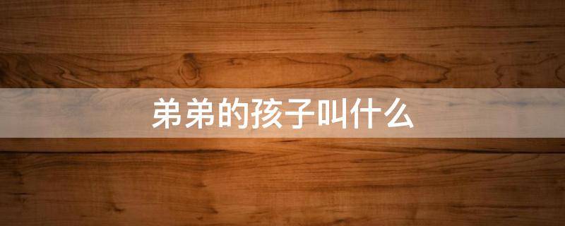 哥哥叫弟弟的孩子叫什么 弟弟的孩子叫什么