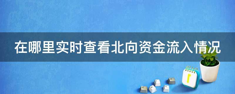 实时查看北向资金流向 在哪里实时查看北向资金流入情况