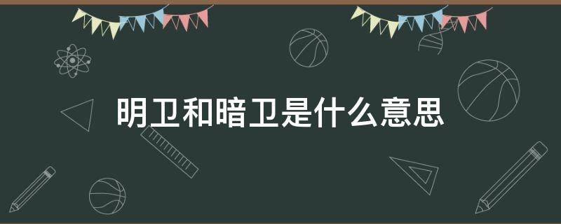 明卫暗卫区别 明卫和暗卫是什么意思