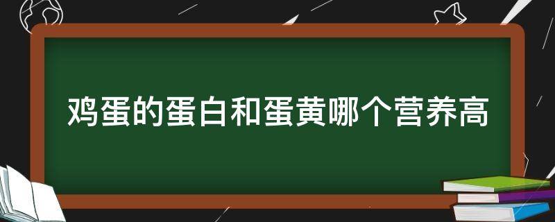 鸡蛋的蛋白和蛋黄哪个营养高 鸡蛋的营养蛋白跟蛋黄哪个高