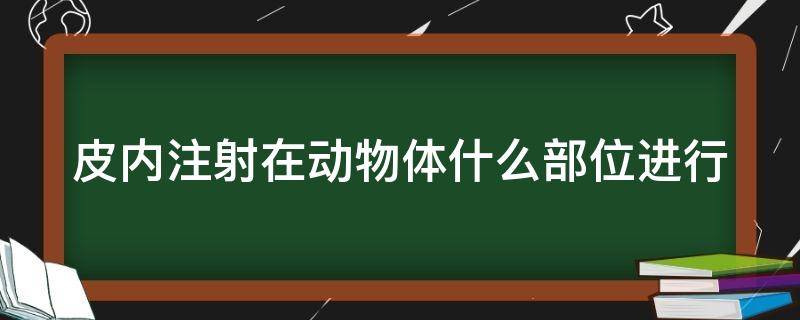 动物皮内注射和皮下的异同 皮内注射在动物体什么部位进行