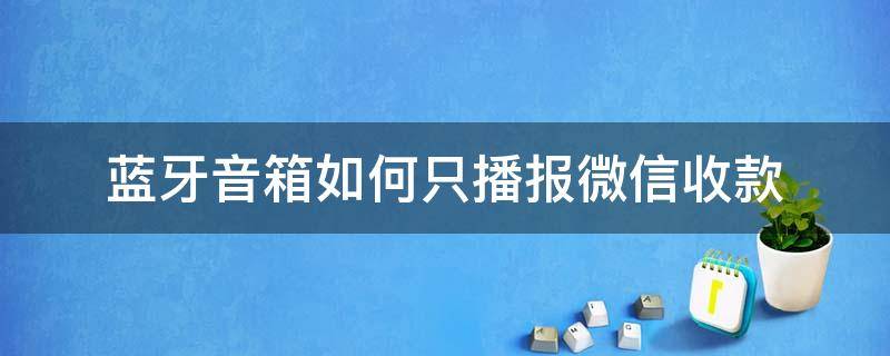 蓝牙音箱如何只播报微信收款 蓝牙音箱怎么播报微信收款