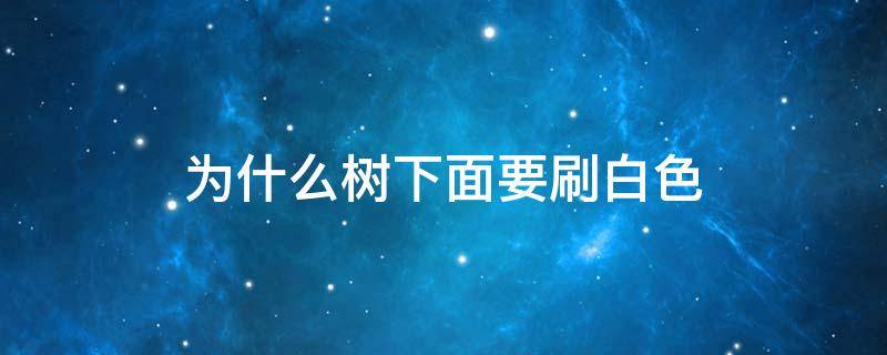 为什么树下面要刷白色 为什么树下面要刷白色和红色