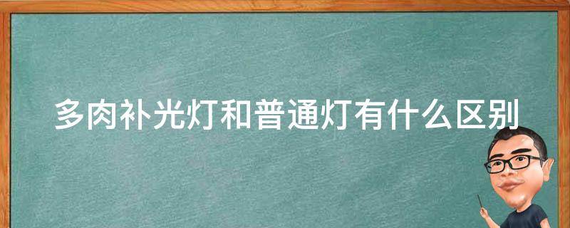 多肉补光灯真的有用吗 多肉补光灯和普通灯有什么区别