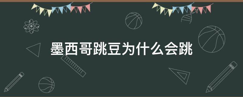 墨西哥跳豆为什么会跳结论 墨西哥跳豆为什么会跳