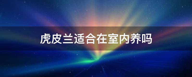 虎皮兰适不适合室内养 虎皮兰适合在室内养吗