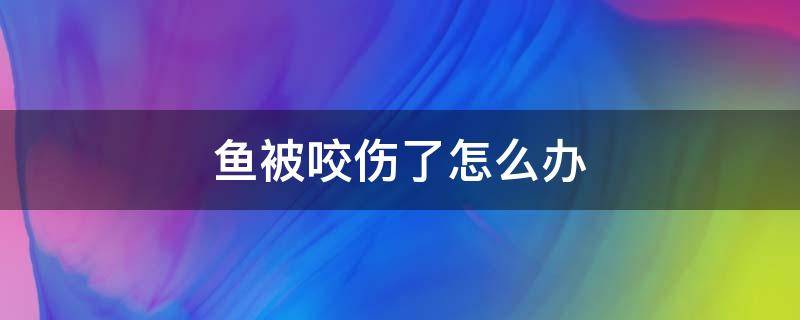 鱼被咬伤了怎么办 孔雀鱼被咬伤了怎么办