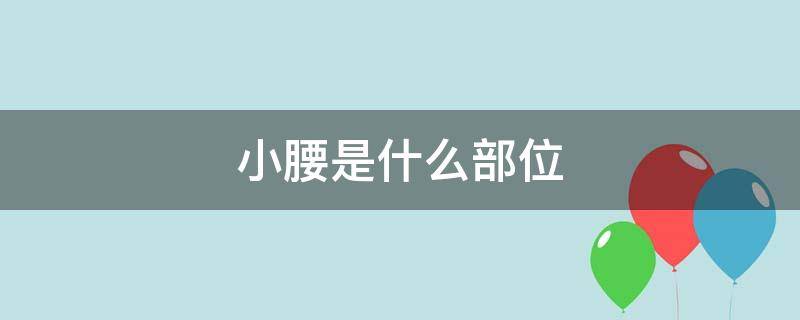 小腰是哪个部位 小腰是什么部位