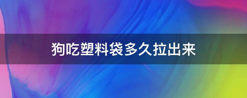 狗吃塑料袋多久拉出来 狗吃塑料袋多久拉出来第二天拉的屎是软的