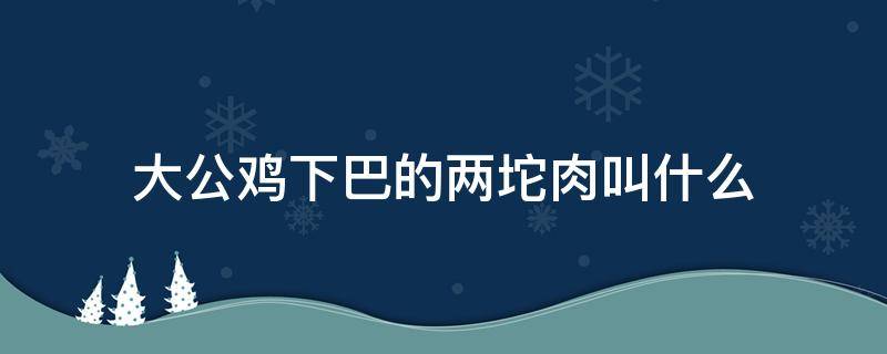 大公鸡下巴的两坨肉叫什么 大公鸡下巴的两坨肉叫什么能吃不