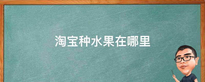 淘宝种水果在哪里领 淘宝种水果在哪里