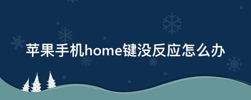 苹果手机home键没反应怎么办 苹果手机home键没有反应怎么办