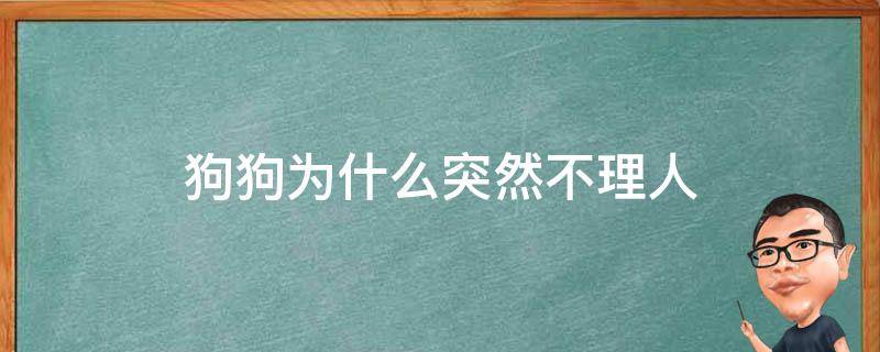 狗狗为什么突然不理人 回到自己窝 靠近就低吼 狗狗为什么突然不理人