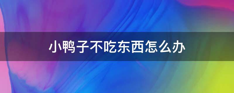 刚买回来的小鸭子不吃东西怎么办 小鸭子不吃东西怎么办