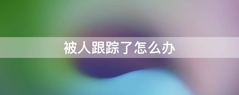 被人跟踪了怎么办教案 被人跟踪了怎么办