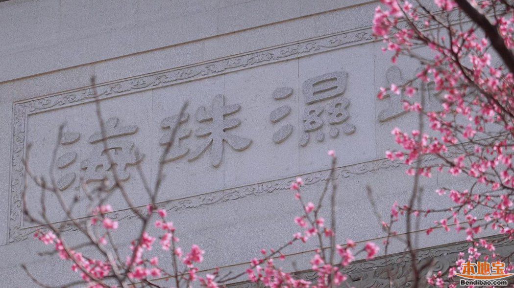 广州海珠湿地樱花在哪里 海珠湿地 樱花