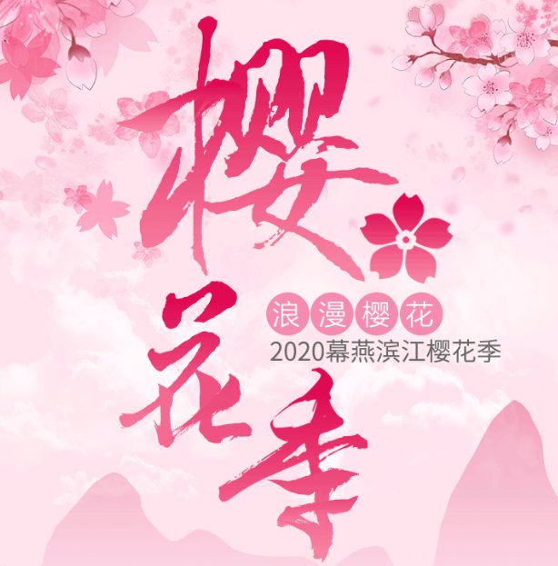 南京幕燕滨江风貌区樱花观赏区 2020南京幕燕樱花节活动详情