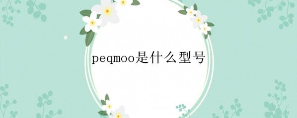 peqmoo是什么型号 oppopeqmoo是什么型号