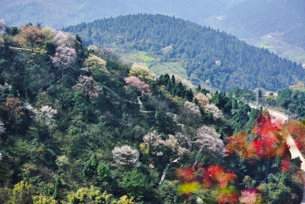 2023重庆渝北云龟山游玩攻略 重庆渝北云龟山景区