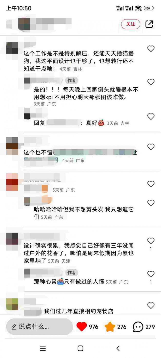 985高校女大学生裸辞深圳大公司：宁给宠物做美容，不愿“心累”搞设计