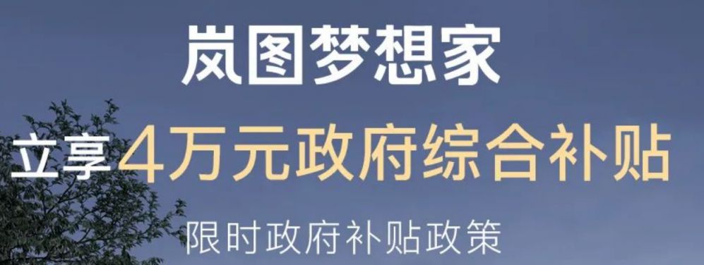 岚图购车方案 2023岚图湖北购车补贴政策