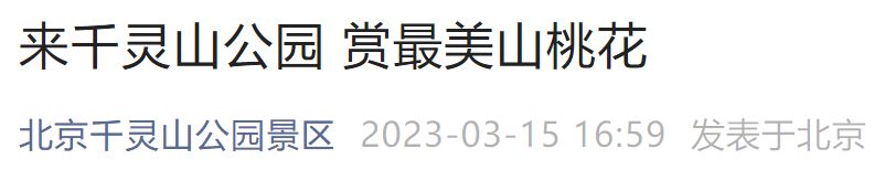 3月15日起北京千灵山公园山桃花进入观赏期