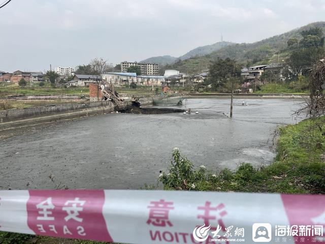 海报直击丨重庆一鱼塘地陷近2万斤鱼被“吞” 事发地为采煤沉陷区，此前附近也曾塌陷过