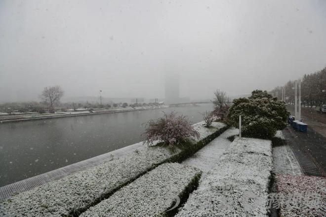 河南多地迎雨雪！专家：这场“及时雨”能为全省节省10亿元左右灌溉费