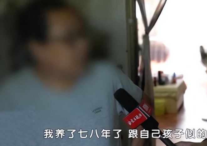 12年男子捡到&quot;只吃菜的乌龟&quot;，养了7年发觉异样，警方把乌龟带走