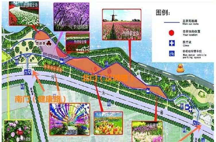 新野白河湿地公园郁金香 新野县白河公园郁金香在哪个位置