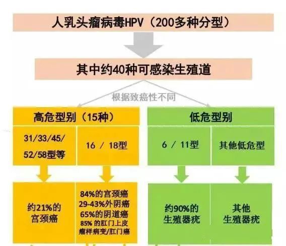 珠海四价HPV什么时间预约放号 珠海四价疫苗接种地点