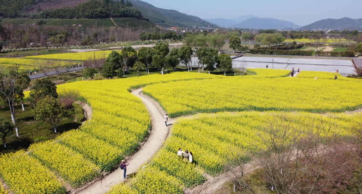 杭州清明去径山花海要买门票了吗 杭州清明去径山花海要买门票了吗今天