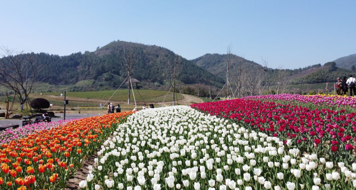 杭州清明去径山花海要买门票了吗 杭州清明去径山花海要买门票了吗今天